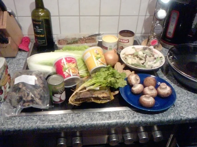 OCHSE FÄLLT VON DER CHINESISCHEN MAUER IN DEN WOK -ODER- CHINESISCHER OCHSE - Rezept - Bild Nr. 5