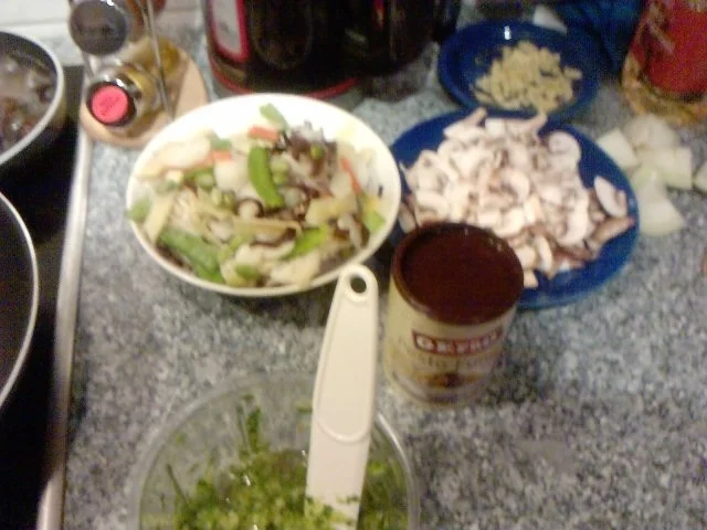 OCHSE FÄLLT VON DER CHINESISCHEN MAUER IN DEN WOK -ODER- CHINESISCHER OCHSE - Rezept - Bild Nr. 7