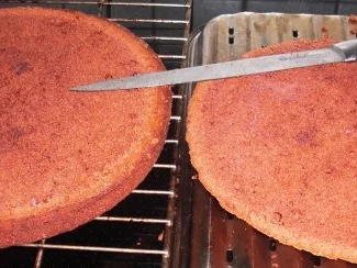 Rezept: Schoko- Rondo-Torte mit Mascarponecreme Bild Nr. 3 Schoko- Rondo-Torte mit Mascarponecreme - Rezept - Bild Nr. 3