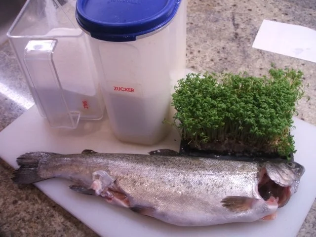 Rezept: Fisch: Graved Trout - Gebeizte Forelle Bild Nr. 2 Fisch: Graved Trout - Gebeizte Forelle - Rezept - Bild Nr. 2