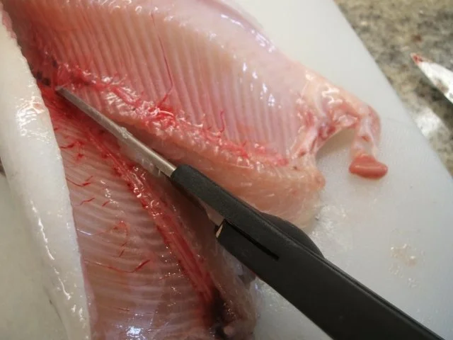 Rezept: Fisch: Graved Trout - Gebeizte Forelle Bild Nr. 4 Fisch: Graved Trout - Gebeizte Forelle - Rezept - Bild Nr. 4