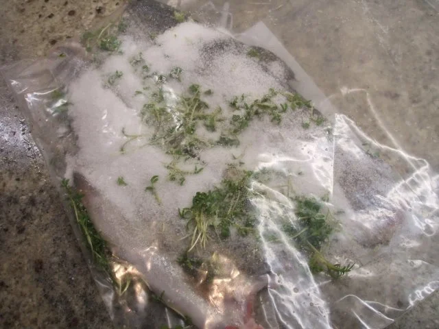 Rezept: Fisch: Graved Trout - Gebeizte Forelle Bild Nr. 5 Fisch: Graved Trout - Gebeizte Forelle - Rezept - Bild Nr. 5