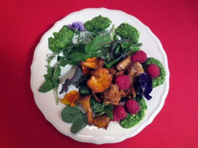 Waldpilze und wilde Kräuter mit Petersilien-Pesto - Rezept