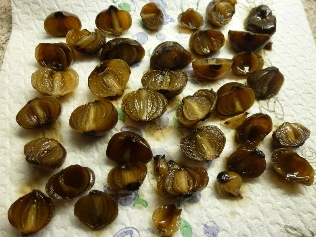 Rotwein-Zwiebelgemüse - Rezept - Bild Nr. 3