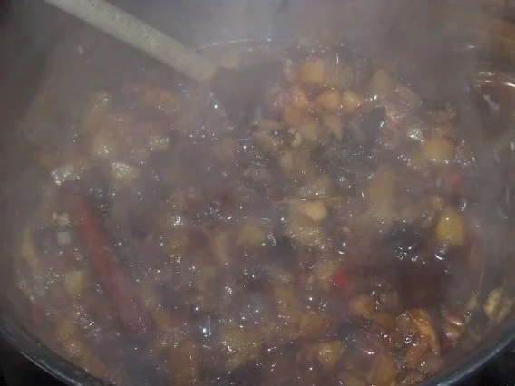 Winterliches Orangen-Chutney - Rezept - Bild Nr. 6