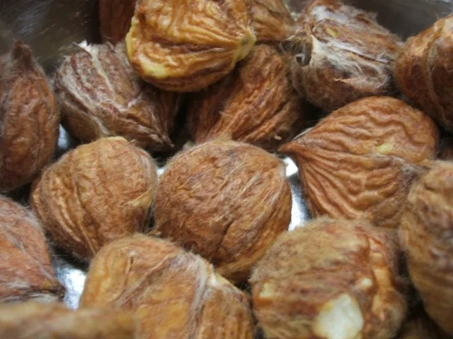 Rezept: Dessert: Maronencreme Bild Nr. 6 Dessert: Maronencreme - Rezept - Bild Nr. 6