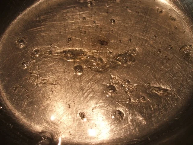 Rezept: Backen: Weihnachtstorte - für die 20iger Tortenform Bild Nr. 13 Backen: Weihnachtstorte - für die 20iger Tortenform - Rezept - Bild Nr. 13