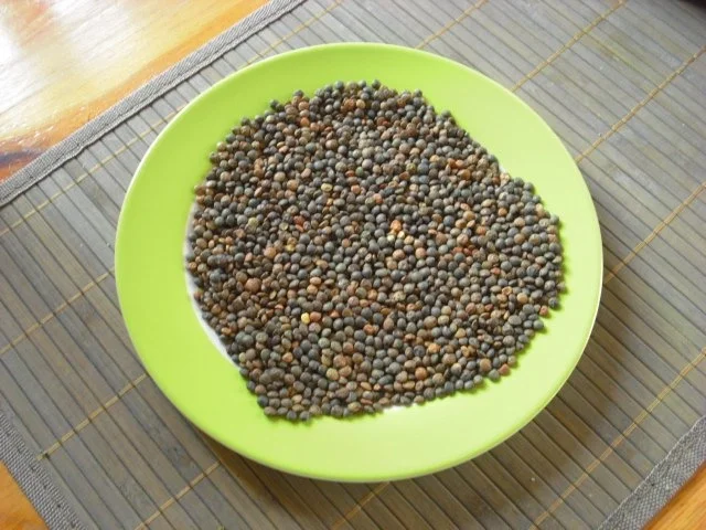 Rezept: Feines Linsensüppchen Bild Nr. 2 Feines Linsensüppchen - Rezept - Bild Nr. 2