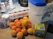 MARILLENKUCHEN (hatte noch tiefgefrorene Marillen, die mussten aus dem TK-Schrank) :)) - Rezept