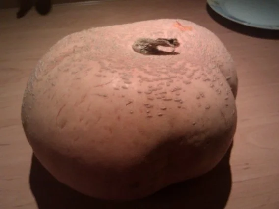 Kürbissuppe für die ganze Familie - Rezept