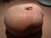 Kürbissuppe für die ganze Familie - Rezept