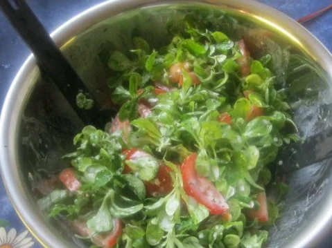 Rezept: Frischer Feldsalat mit großer Zwiebelfrikadelle Bild Nr. 4 Frischer Feldsalat mit großer Zwiebelfrikadelle - Rezept - Bild Nr. 4