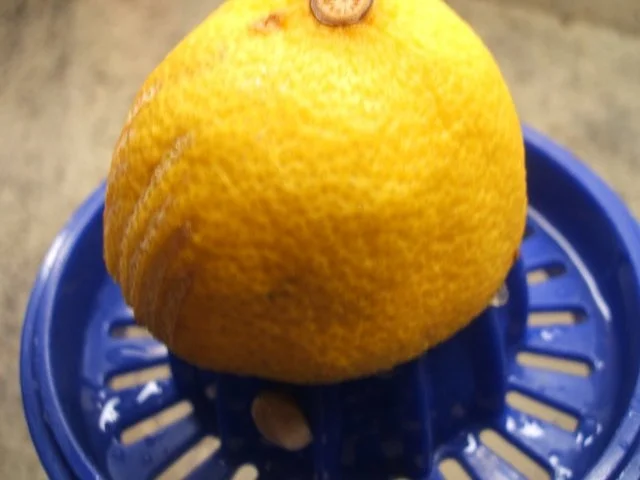 Backen: Kirsch-Sahne-Torte für die 20iger Form  ~ 500stes Rezept ~ - Rezept - Bild Nr. 12