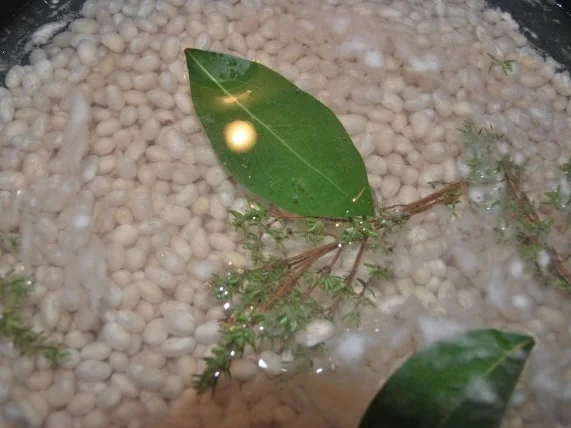 Bohnen-Tomaten-Topf mit Entenkeulen - Rezept - Bild Nr. 2