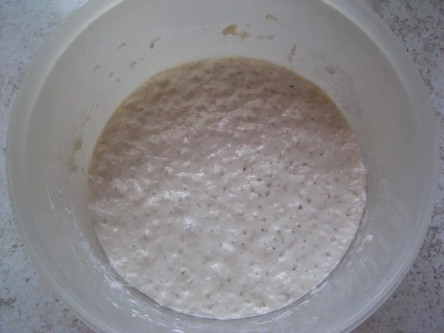Sauerteig aus Altem Brot - Rezept - Bild Nr. 5