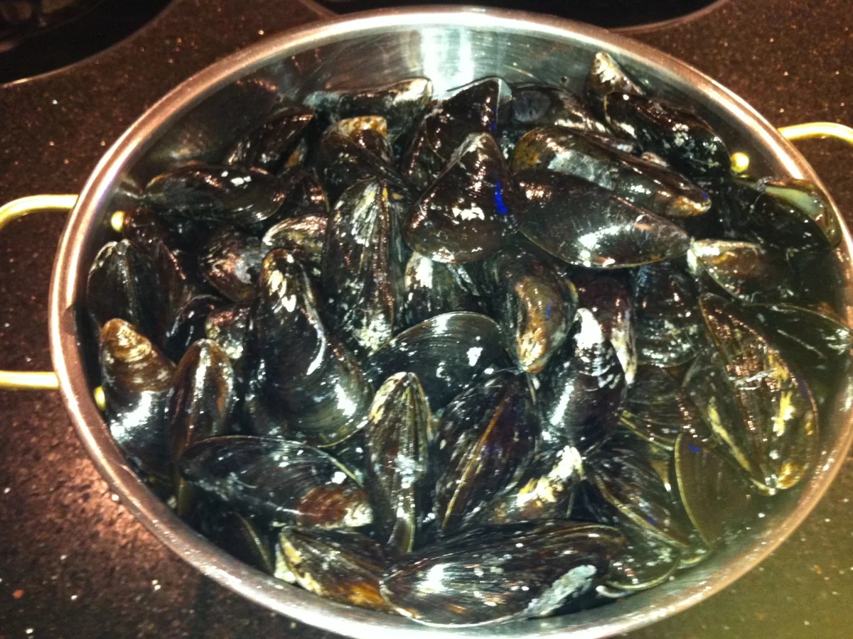 Rezept: Fisch: Miesmuscheln Rheinischer Art Bild Nr. 3 Fisch: Miesmuscheln Rheinischer Art - Rezept - Bild Nr. 3