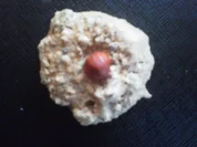 Katzenhaufchen - Rezept