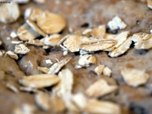 Rezept: Weizenvollkornbrot mit Haferflocken und Buttermilch Bild Nr. 12 Weizenvollkornbrot mit Haferflocken und Buttermilch - Rezept - Bild Nr. 12