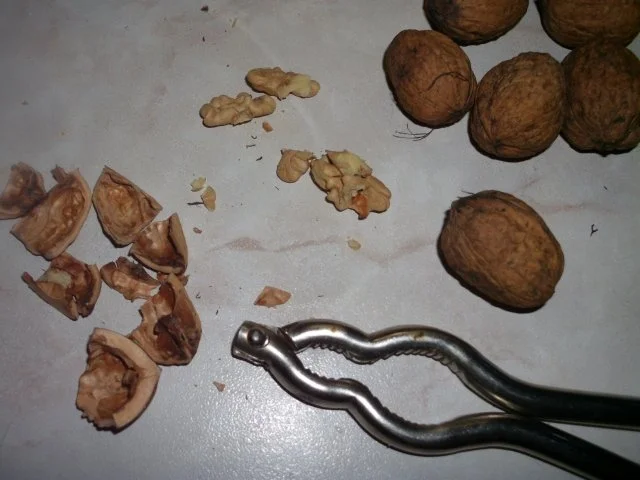 Rezept: Rosenkohlsalat mit Kumquat Bild Nr. 7 Rosenkohlsalat mit Kumquat - Rezept - Bild Nr. 7