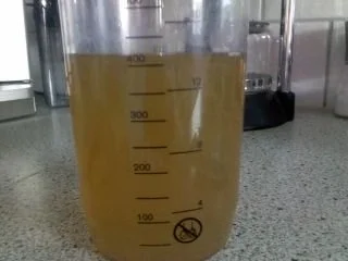 Rezept: Rindfleischsülze Bild Nr. 4 Rindfleischsülze - Rezept - Bild Nr. 4