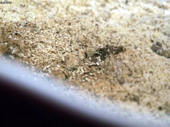 Rezept: Gewürz-Parisienne Bild Nr. 2 Gewürz-Parisienne - Rezept - Bild Nr. 2