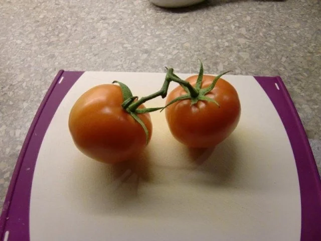 Miesmuscheln auf ein Spaghettinest à la Heiko - Rezept - Bild Nr. 3
