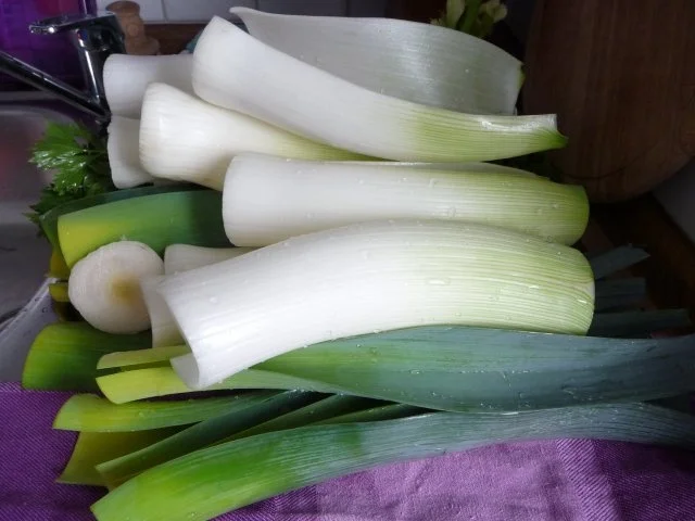 Vorräte : Gemüsebrühe selber machen - Rezept - Bild Nr. 3