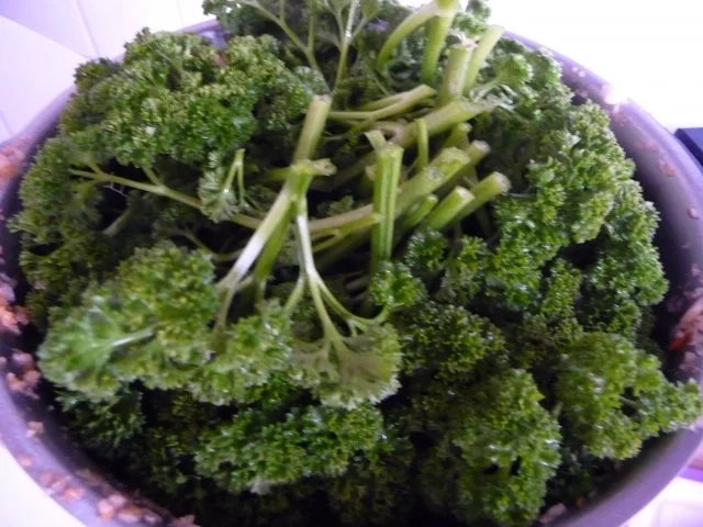 Vorräte : Gemüsebrühe selber machen - Rezept - Bild Nr. 11