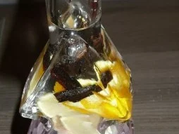 Weih-nachts -Likör, klein aber fein ! - Rezept