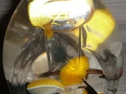 Schlehen-Likör Nr.2 - Rezept