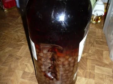 Rezept: Johannisbeer-Likör Bild Nr. 2 Johannisbeer-Likör - Rezept - Bild Nr. 2