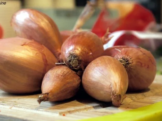 Schweinebauch mit Karamellsauce - Rezept - Bild Nr. 3