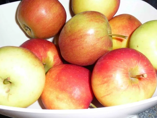 Glasierter Apfelkucken - Rezept - Bild Nr. 5