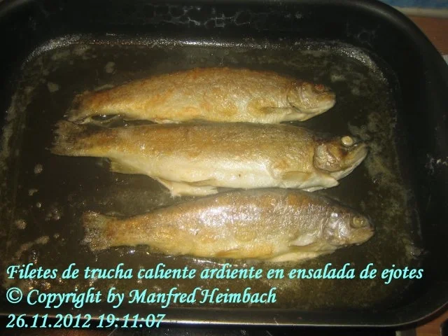 Rezept: Fisch - Filetes de trucha caliente ardiente en ensalada de ejotes Bild Nr. 5 Fisch - Filetes de trucha caliente ardiente en ensalada de ejotes - Rezept - Bild Nr. 5