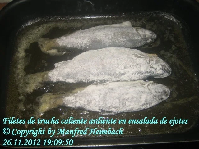 Rezept: Fisch - Filetes de trucha caliente ardiente en ensalada de ejotes Bild Nr. 6 Fisch - Filetes de trucha caliente ardiente en ensalada de ejotes - Rezept - Bild Nr. 6