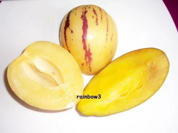 Rezept: Einmachen: Exotic-Marmelade II Bild Nr. 2 Einmachen: Exotic-Marmelade II - Rezept - Bild Nr. 2