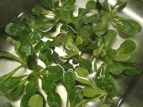 Feldsalat mit Glühwein - Dressing ... - Rezept - Bild Nr. 9