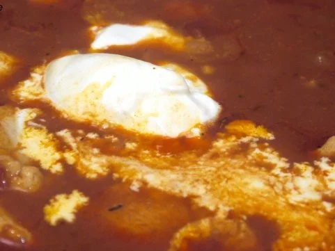 Rezept: Schnelles Tomatenhuhn Bild Nr. 11 Schnelles Tomatenhuhn - Rezept - Bild Nr. 11