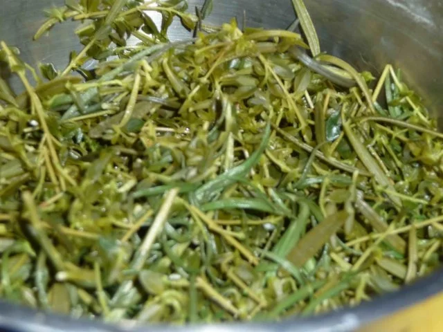 Kräutersud - Rezept - Bild Nr. 6