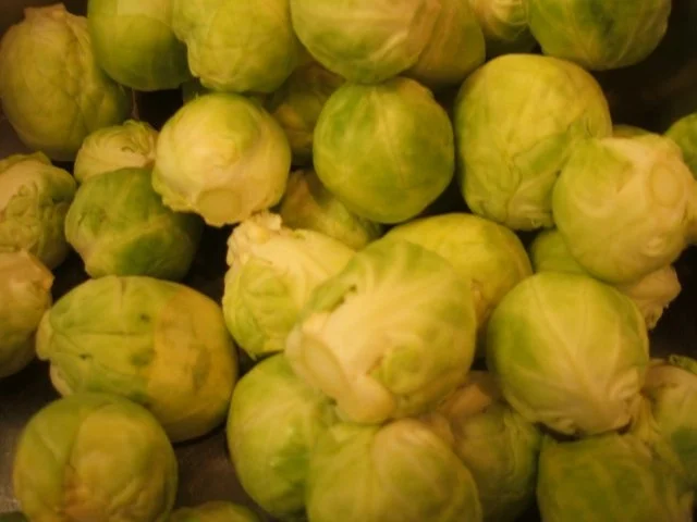 Knödel: Kartoffel-Rosenkohl-Rosen - Rezept - Bild Nr. 3