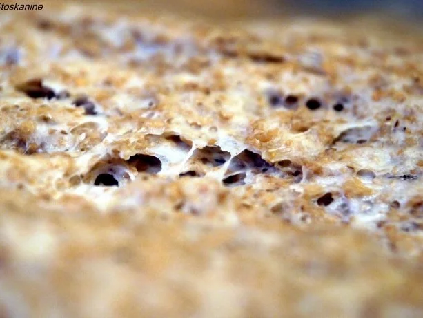 Dinkelvollkorn-Buttertoastbrot - Rezept - Bild Nr. 10