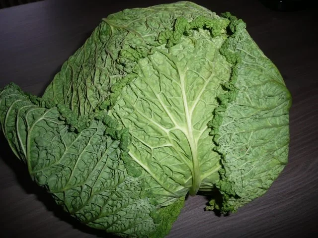 Rezept: Wirsingauflauf Wirsingauflauf - Rezept