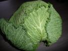 Wirsingauflauf - Rezept