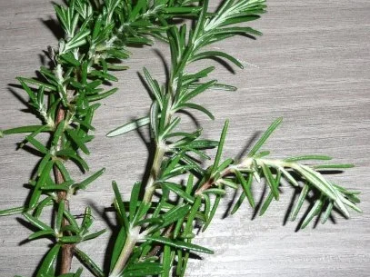 Rezept: Wirsingauflauf Bild Nr. 2 Wirsingauflauf - Rezept - Bild Nr. 2