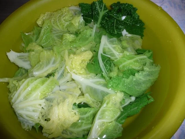 Rezept: Wirsingauflauf Bild Nr. 4 Wirsingauflauf - Rezept - Bild Nr. 4