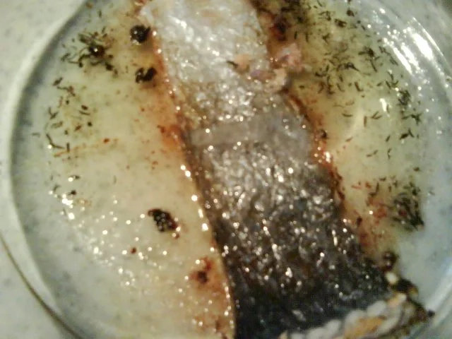 Lachs-Ziege unter 30 Minuten - Rezept - Bild Nr. 9