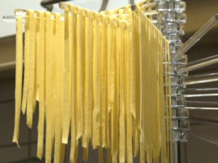 Entenragout mit selbstgemachter Tagliatelle - einfach - 110 kcal/100g