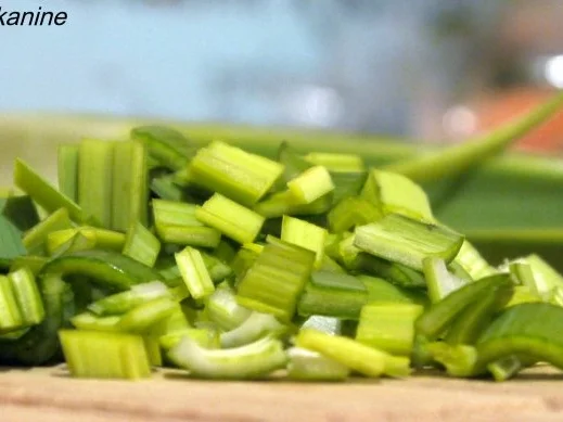 Rezept: Entenragout mit selbstgemachter Tagliatelle Bild Nr. 6 Entenragout mit selbstgemachter Tagliatelle - Rezept - Bild Nr. 6