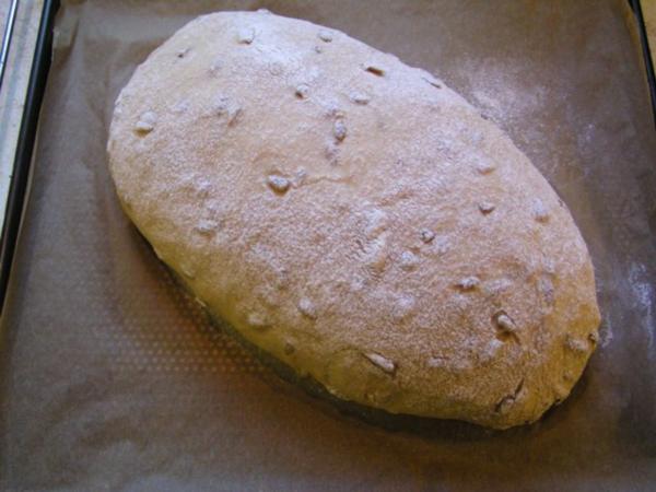 Malzbier-Brot - Rezept mit Bild - kochbar.de
