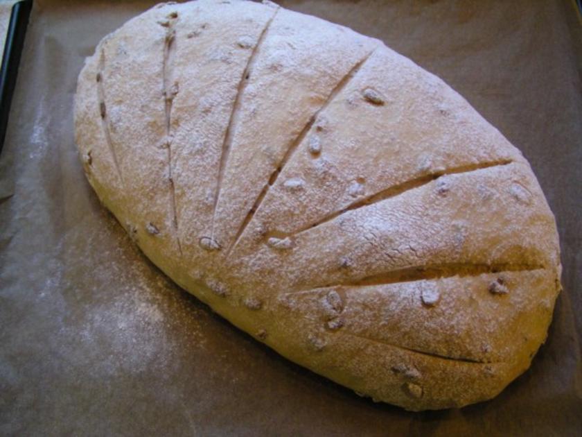 Malzbier Brot - einfach - 300 kcal/100g